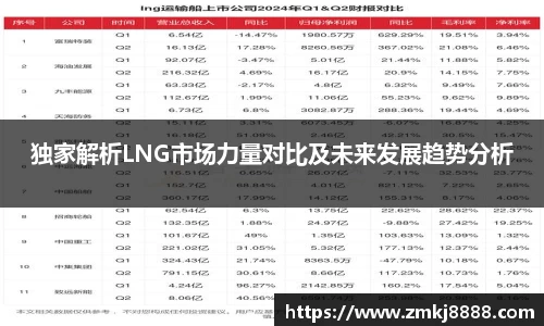 独家解析LNG市场力量对比及未来发展趋势分析