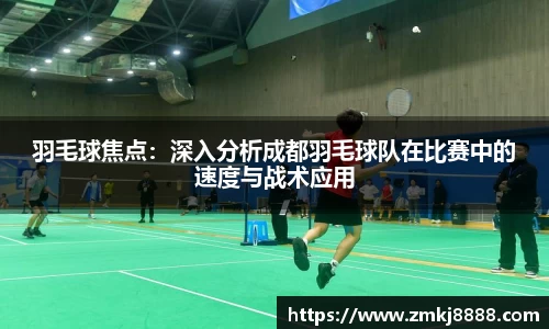 羽毛球焦点：深入分析成都羽毛球队在比赛中的速度与战术应用